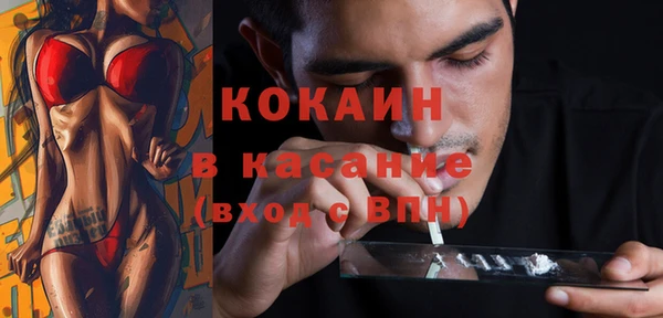 мдпв Пересвет