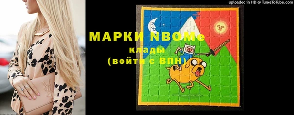 мдпв Пересвет