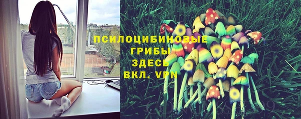 первитин Пестово