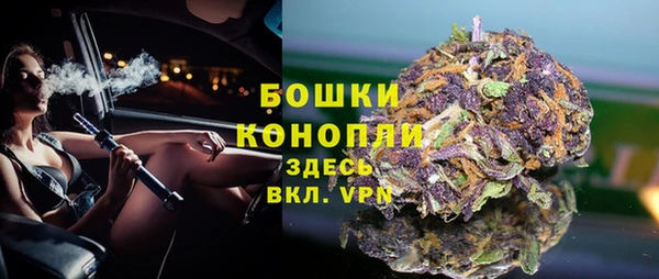 мдпв Пересвет